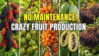 15 Forgotten Fruits That Produce Like Crazy (Almost ZERO Maintenance)