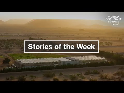 EU Landmark Deal on AI Regulation & 5 Ways to Cut Food Waste | WEF | Top Stories of the Week Episode cover