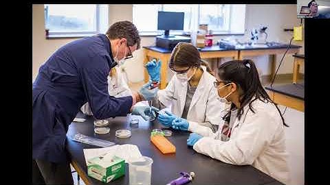 The Case for Developing Digital Scholarship Programs