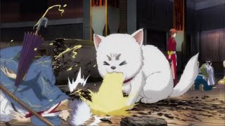 Gin came out from the mouth of the pet Sadaharu [DOG] Gintama:The Final
