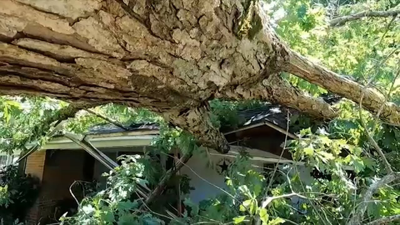 NC weather: Cleanup underway after severe storms knock out power to ...