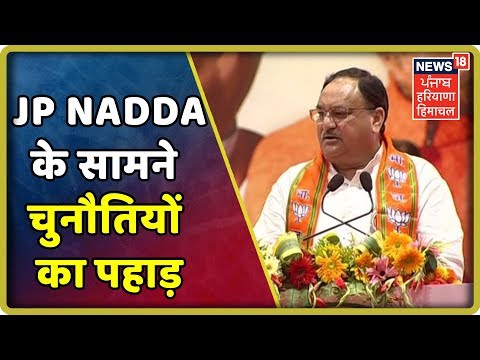 BJP के कार्यकारी अध्यक्ष JP nadda के सामने चुनौतियों का पहाड़ | Haryana Latest News Update