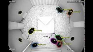 Drug Discovery System Grouping Classification Video