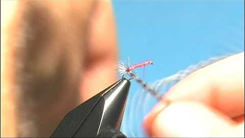Orange Asher - Fly Tying Lesson Video Tutorial by Curtis Fry
