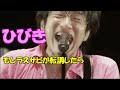 【Mr.Children】ひびきのラスサビを転調させてみた