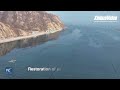 Cleaner waters bring more seals to China's Changdao