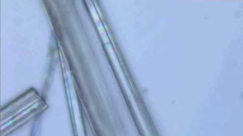 Capillary organic microtubes obtained by molecular self-assembly of aminothiophenols .wmv