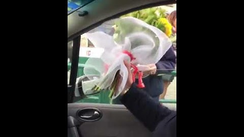 Makina ndalon te këmbët e polices, çfarë i nxjerr nga dritarja i riu e habit komplet (VIDEO)
