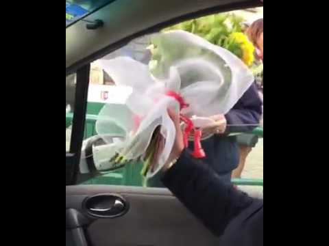 Video: Çfarë bëni nëse dritarja e makinës tuaj është e ngrirë?