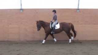 Ruby canter left