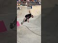 First 900 Done In A Park Contest!