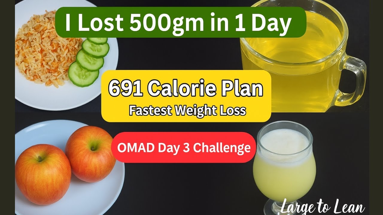 Lose 0.5 Kg in 1 Day – 691 Calorie OMAD Diet Plan for Fast Weight Loss