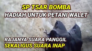 SP TSAR BOMBA. Rajanya suara panggil sekaligus suara inap burung walet. Hadiah untuk petani walet