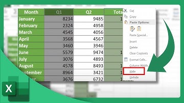 How to Hide Columns in Excel | Microsoft Excel Tutorial (2025)