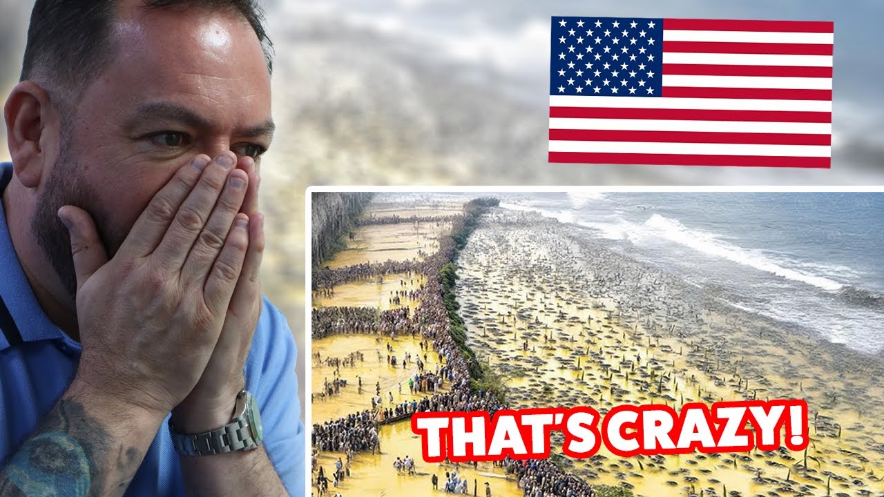 Реакция БРИТАНЦЕВ на то, что произойдет, если кто-то вторгнет в США.