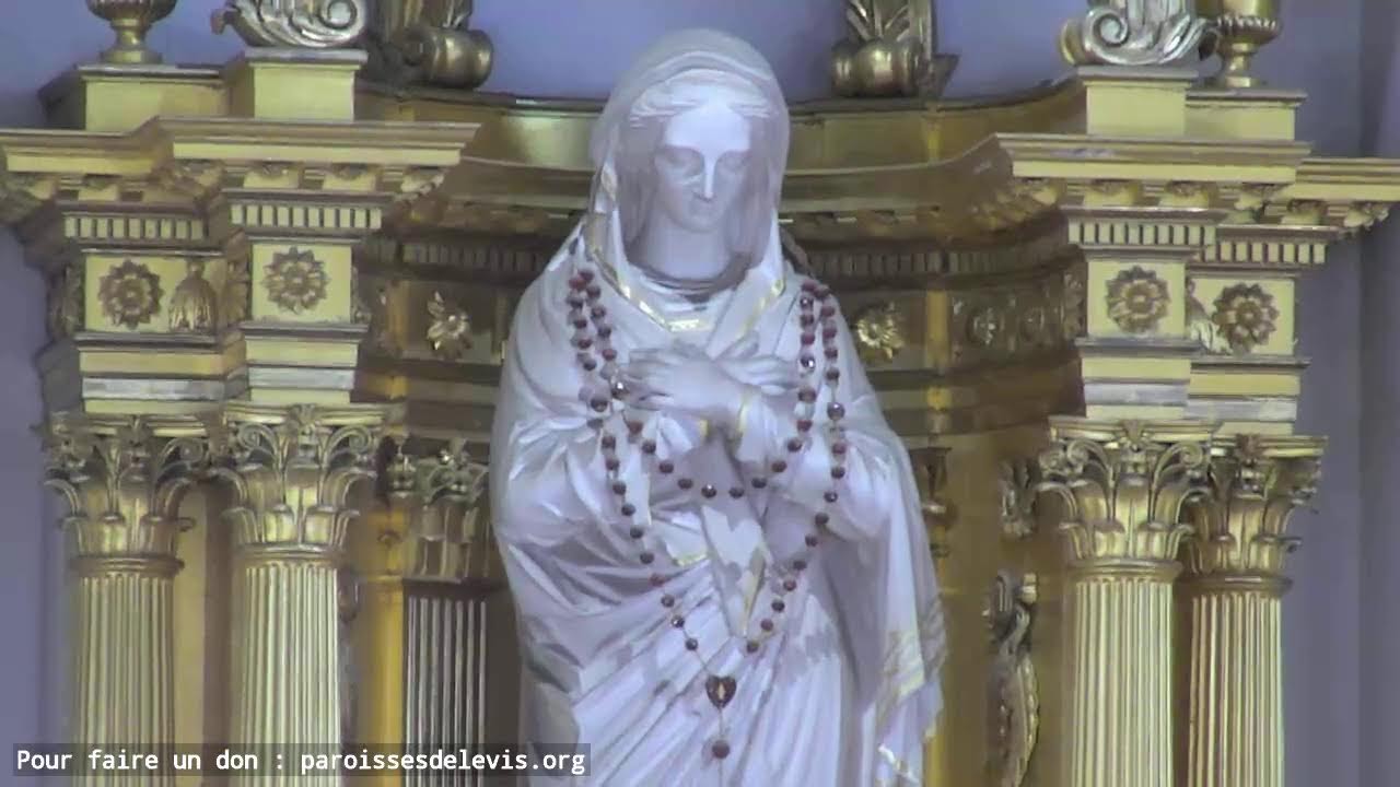 Webdiffusion de la messe de la Toussaint - Samedi 1er novembre 2025