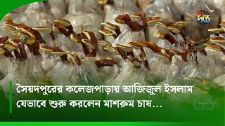 #DeeptoKrishi_C | সৈয়দপুরের আজিজুল ইসলাম যেভাবে শুরু করলেন মাশরুম চাষ | Mashroom | Deepto Krishi