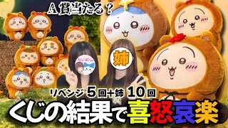 Chiikawa] The sisters are spinning the popular 