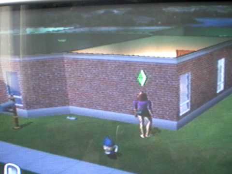 Sims2 PS2 Gnome Money Cheat, tutorial.