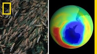 Cannibal Bugs and Climate Battles | Nat Geo Live
