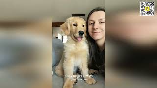 🐶😂 THE ULTIMATE DOG FAILS 2026! 🚨 Funny Dog Compilation | Try Not To Laugh 😂🐶 screenshot 4