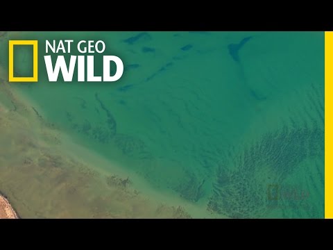 خلیج فارس دنیاهای مخفی 