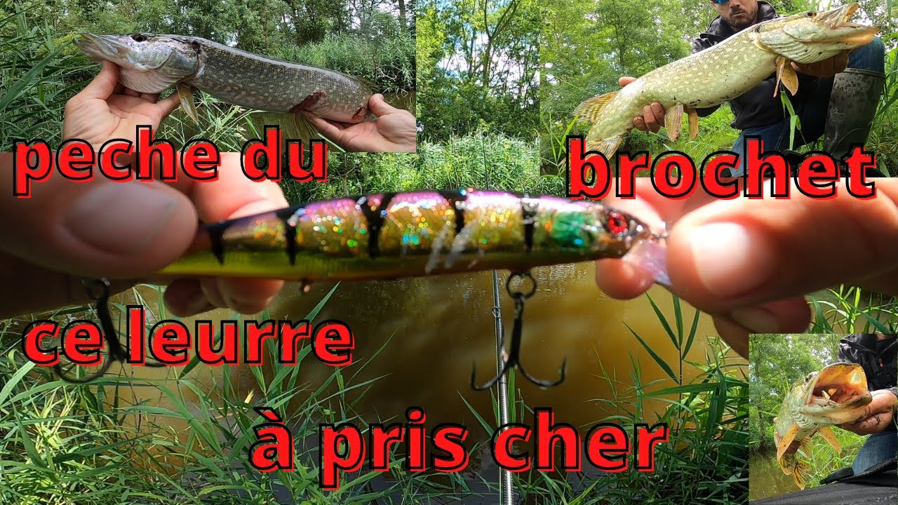 peche brochet au leurre 2021