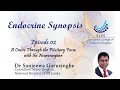 Slce  endocrine synopsis  episode 02  a cruise through the pituitary fossa with the neurosurgeon