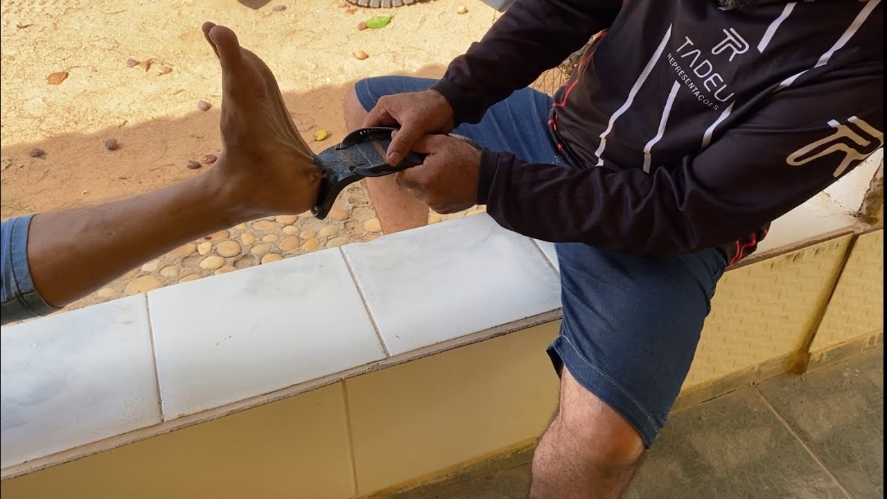 COLEI OS PÉS DO REI DAS SERPENTES