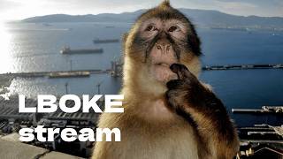 [NEW BEST] Test Stream (Sonic Wave Infinity) @LBoke