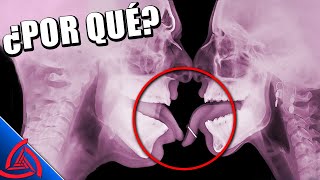 ¿POR QUÉ DEMONIOS HACEMOS ESTO? | WTF!!!