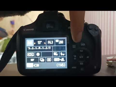 Video: ¿Es la Canon t5 una cámara de fotograma completo?