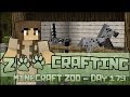 Birth of a Zorse Foal!! 🐘 Zoo Crafting: Season 2 - Episode #179