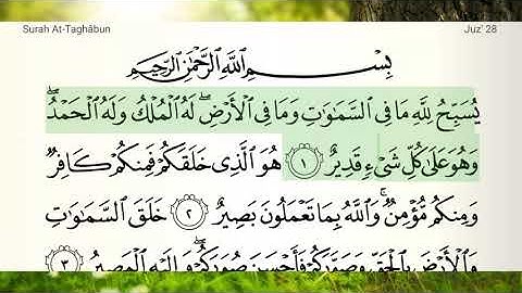 QURAN Surah At Taghabun: Al Ghamdi قرآن سوره التغابن: الغامدی