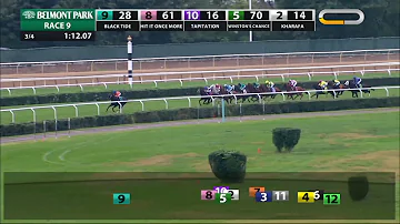 Black Tide - 2018 - The Ashley T.  Cole Stakes