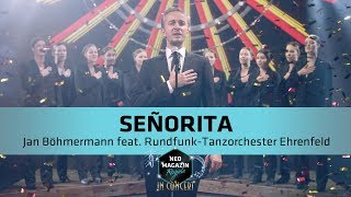 Video thumbnail of "Kay Boehm - Señorita [Cover] | Neo Magazin Royale mit Jan Böhmermann - ZDFneo"
