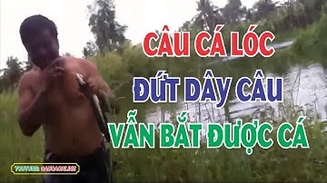 Câu cá giải trí Huỳnh Kiệt cà mau, Fishing snakehead