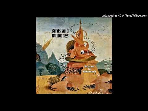 Birds And Buildings – Bantam To Behemoth – Box Set (Premium Box