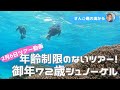 【石垣島】御年72歳、毎年2月はシュノーケリング!2月6日ツアー動画