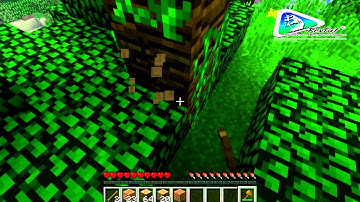 1.6.2 Minecraft Mods | Timber - Review & Installation