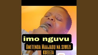 Imo Nguvu