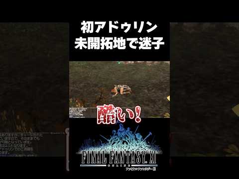 #FF11 いざ、アドゥリンへ！エフェクトも音楽もいいね！