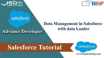 Data Management in Salesforce with data Loader