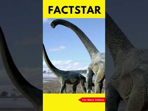 facts all facts are here #dimagi fact #short