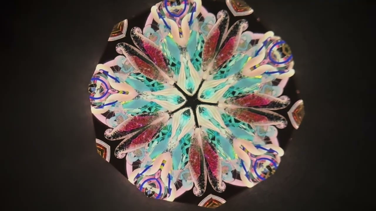 Randy and Shelley Knapp 2008 Kaleidoscope