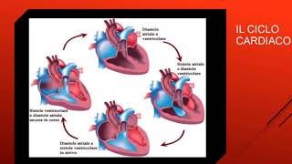 HOW THE HEART WORKS: SYSTOLE AND DIASTOLE HOW THE HEART WORKS: SYSTOLE AND DIASTOLE
