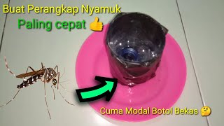 Cara Membuat Perangkap Nyamuk Dari Botol Plastik Bekas