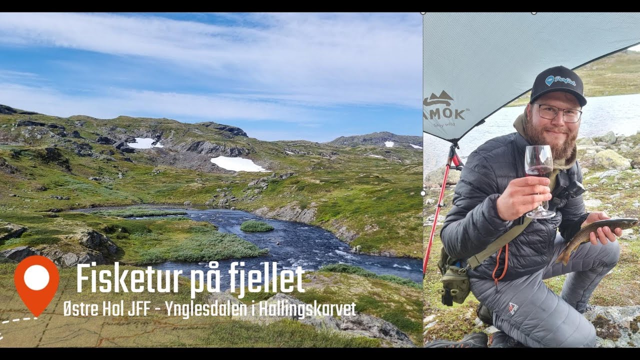 Høyfjellfiske ved Hallingskarvet nasjonalpark. Østre Hol JFF - Ynglesdalen   |  #Ørret  #PERFISH