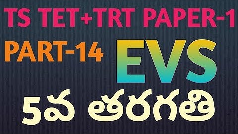 TS EVS textbook important bits for tet#AK Vlogs#EVS#