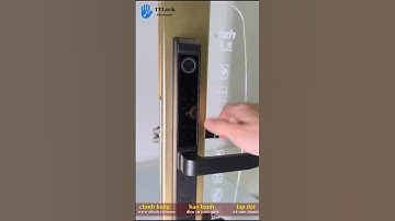 Khóa cửa vân tay TTLock L208 ✔️ Chính hãng TTLockVietNam